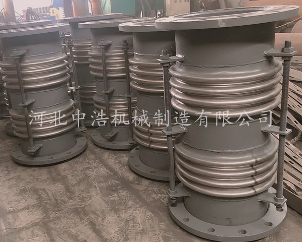 軸向複式補償器